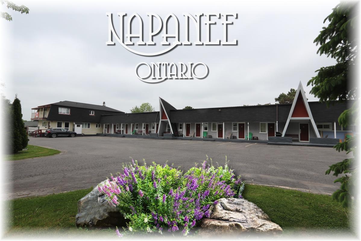 Twin Peaks Motel Napanee Екстер'єр фото